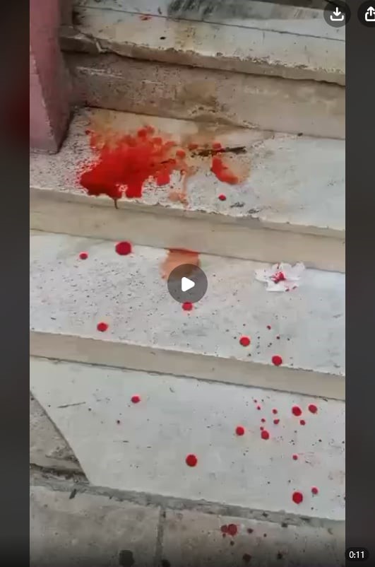 0fce35c1 6685 41c2 a149 478897498d2d